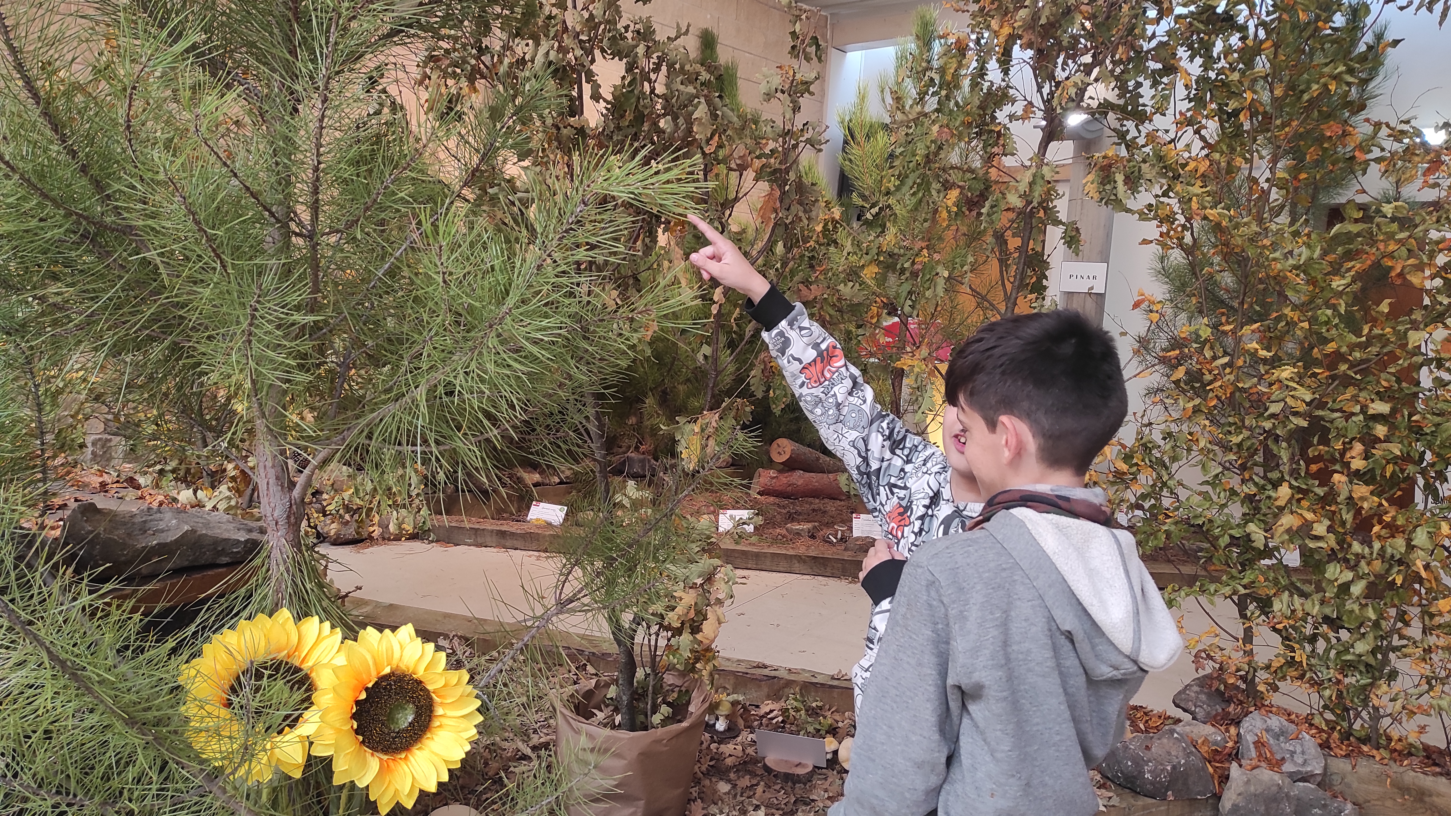 Copia de IMG_20251030_122733.jpg